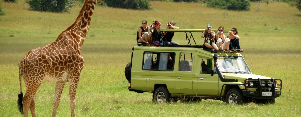 Uganda Adventure Safari